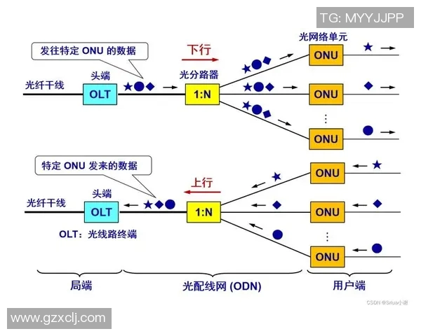 篮球明星的成长之路与职业生涯全景解析