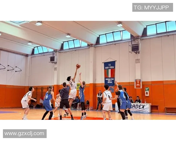 全球篮球界十大美女排行榜视频精彩呈现绝美风采与运动魅力